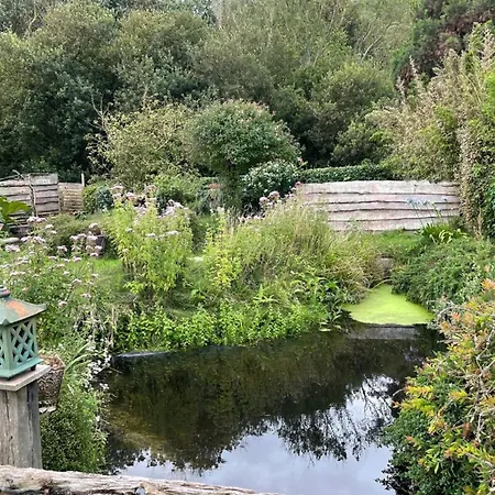 Les P'tits Crabes Bord De